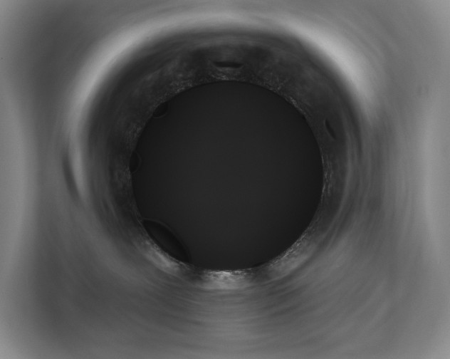 X0000111480239200907210955