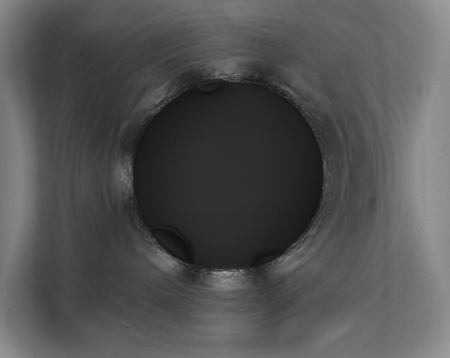 X0000111480240200907210955