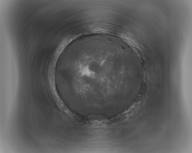 X0000111480241200907210954