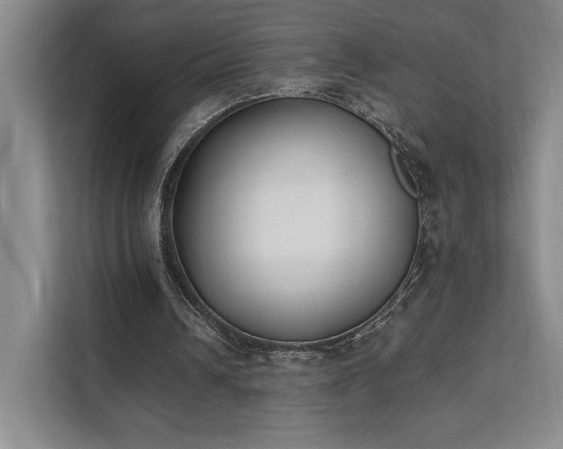 X0000111480242200907210954