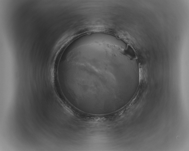 X0000111480243200907210954