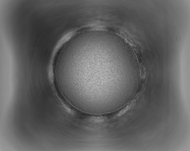 X0000111480245200907210954
