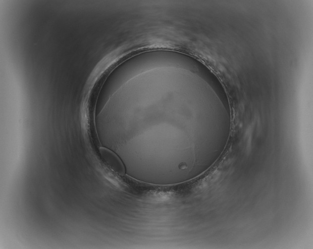 X0000111480247200907210954