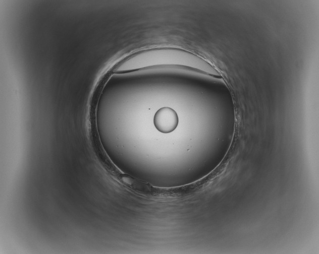 X0000111480248200907210954
