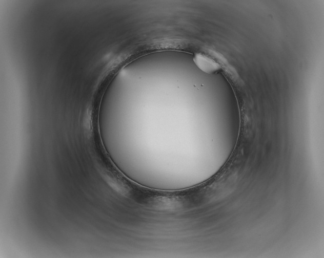 X0000111480250200907210954