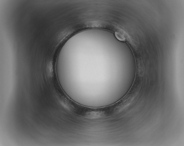 X0000111480251200907210954