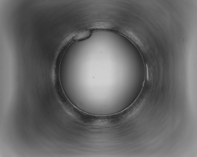 X0000111480252200907210954