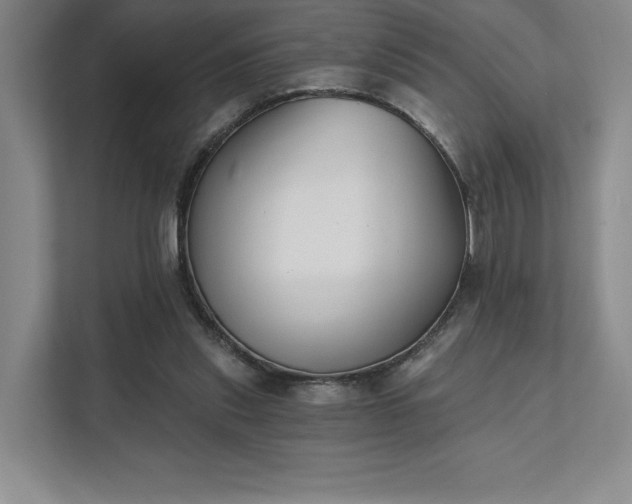 X0000111480253200907210954