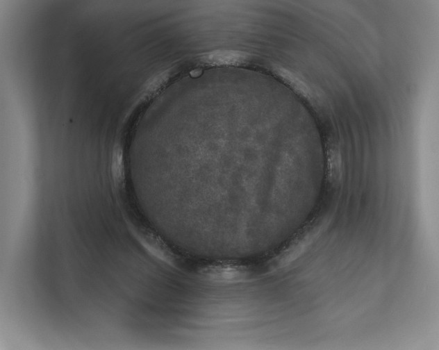 X0000111480254200907210954