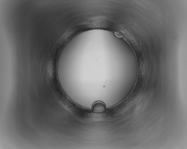 X0000111480255200907210954
