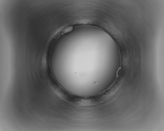 X0000111480256200907210954