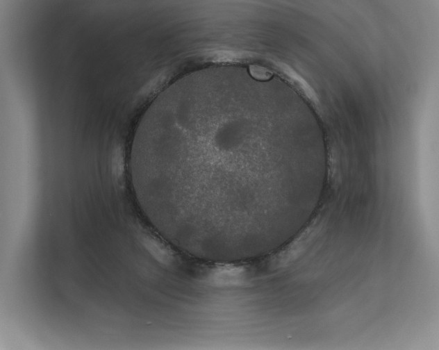 X0000111480257200907210954