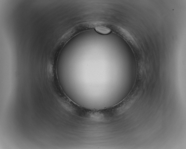 X0000111480258200907210954