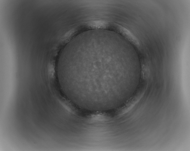 X0000111480259200907210954