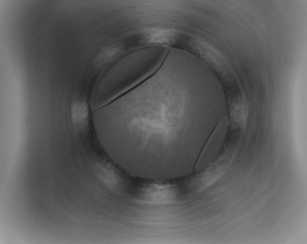 X0000111480260200907210954