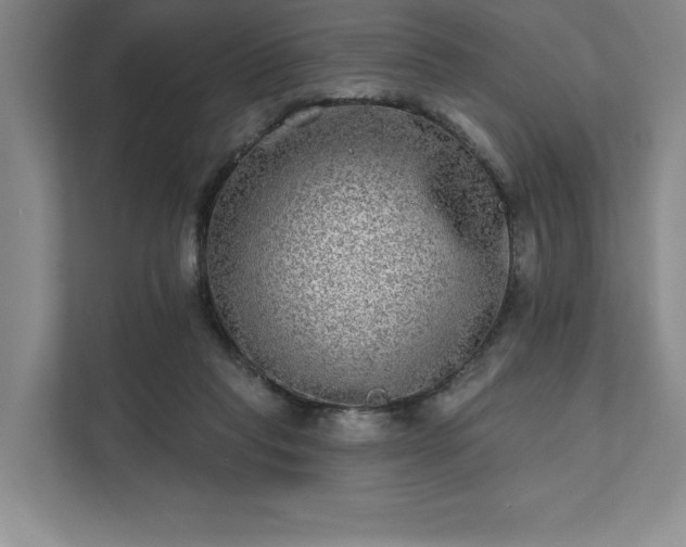 X0000111480261200907210954
