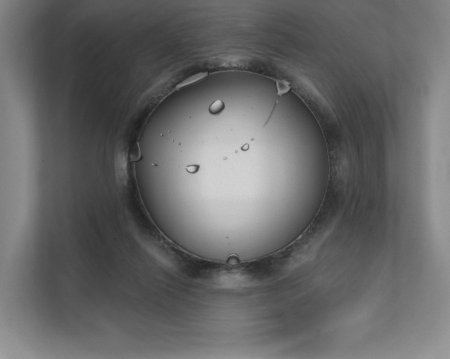 X0000111480262200907210954