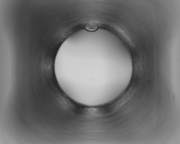 X0000111480265200907210954