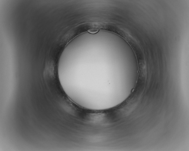 X0000111480266200907210954