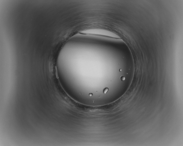 X0000111480268200907210954