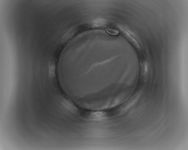 X0000111480269200907210954