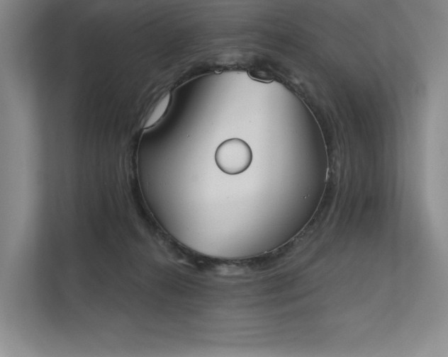X0000111480272200907210955