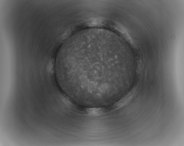 X0000111480273200907210955