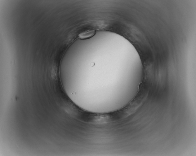 X0000111480274200907210955
