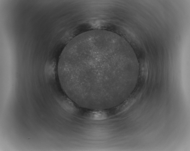 X0000111480275200907210955