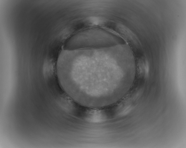 X0000111480276200907210955