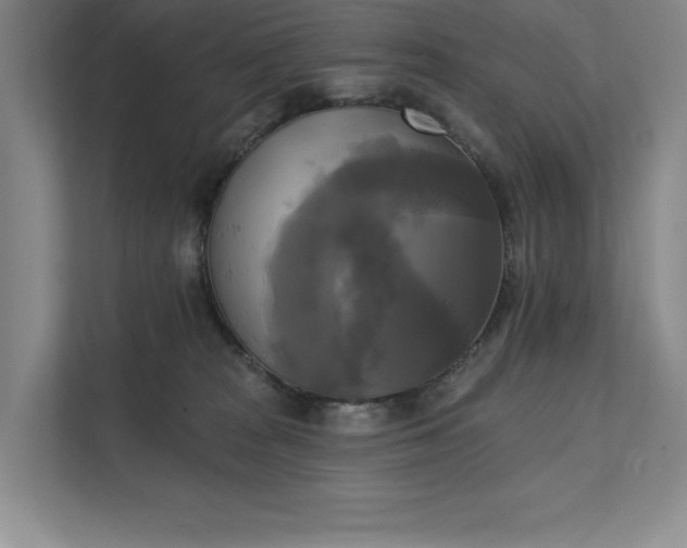 X0000111480277200907210955