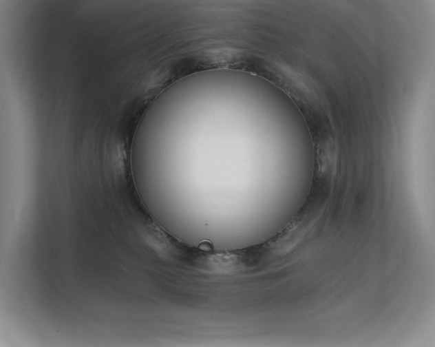 X0000111480279200907210955