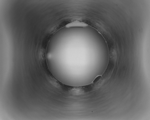X0000111480280200907210955