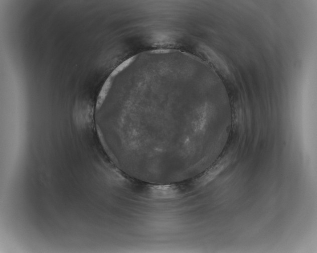 X0000111480281200907210955
