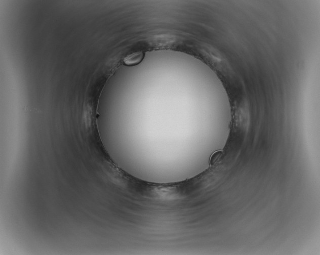 X0000111480283200907210955