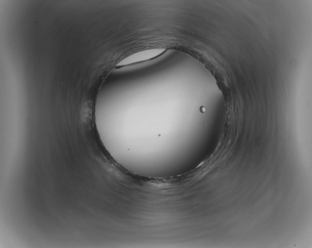 X0000111480284200907210955