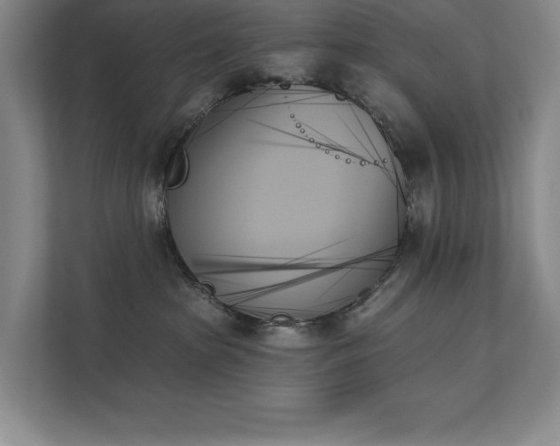 X0000111480285200907210955