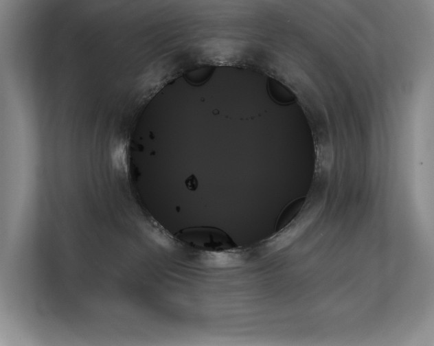 X0000111480286200907210955