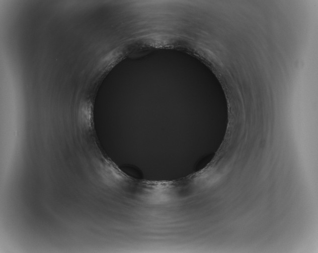 X0000111480288200907210955