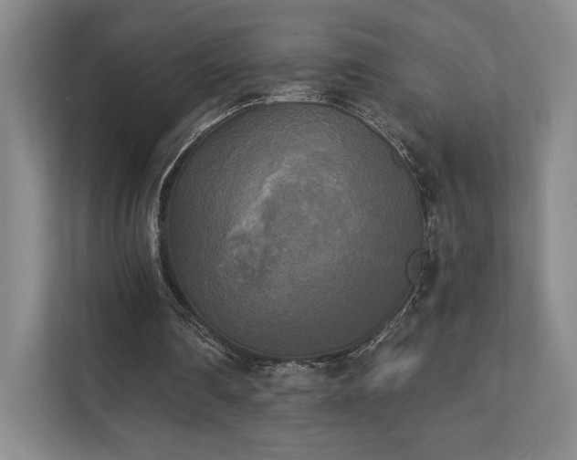 X0000111480290200907210954