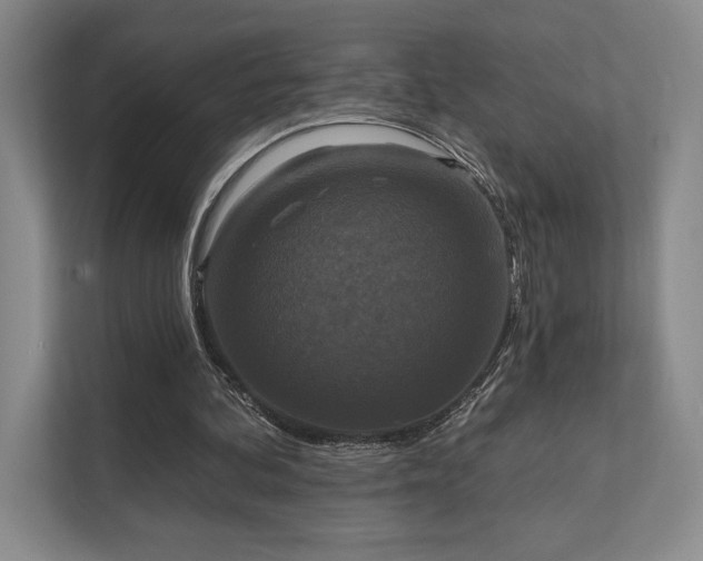 X0000111480292200907210954