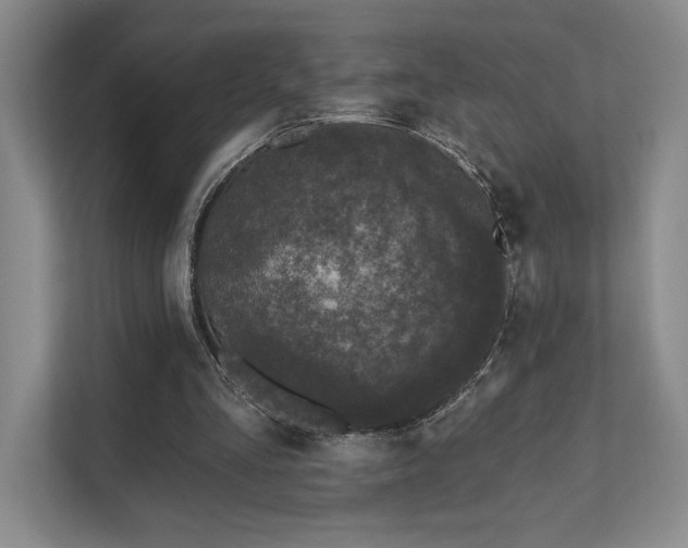 X0000111480293200907210954