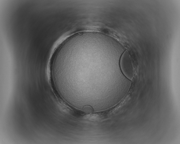 X0000111480294200907210954