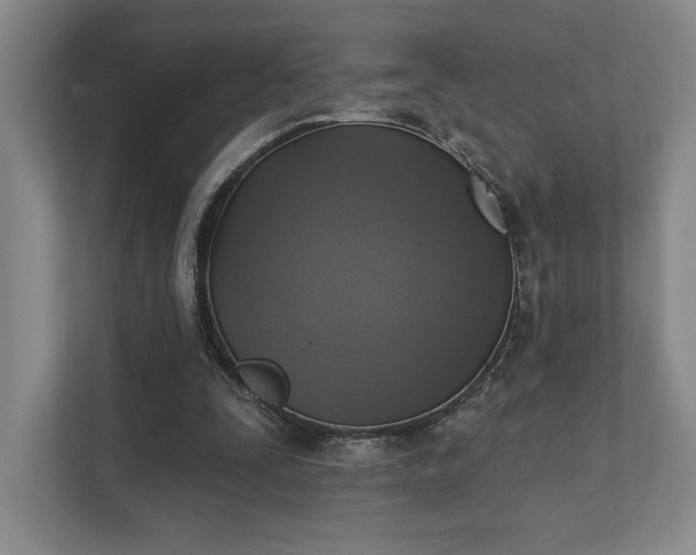 X0000111480295200907210954