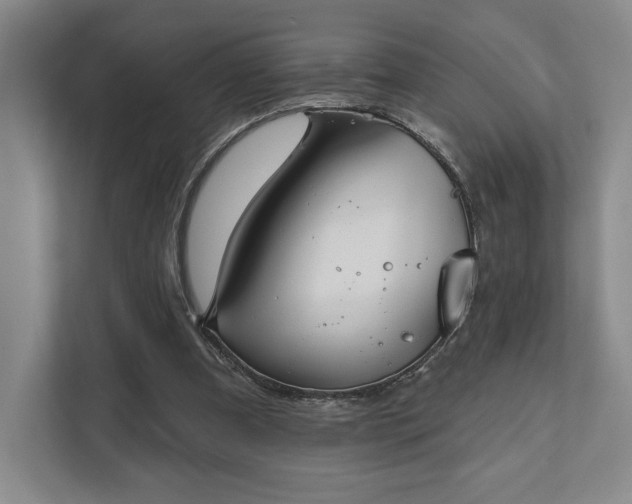X0000111480297200907210954