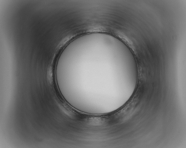 X0000111480298200907210954