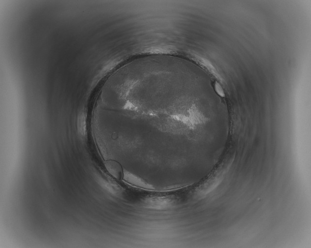 X0000111480299200907210954