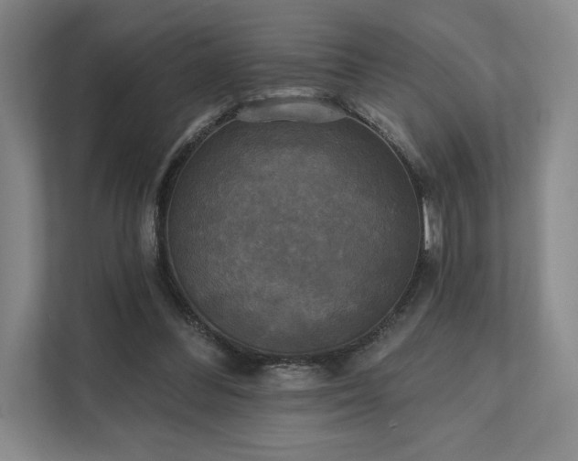 X0000111480300200907210954