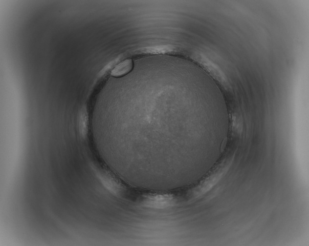 X0000111480304200907210954