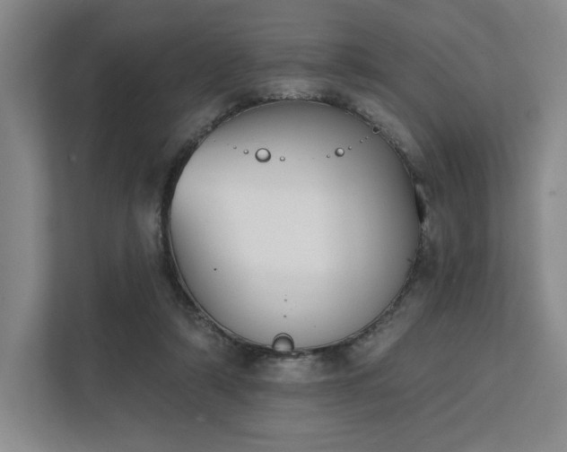X0000111480306200907210954